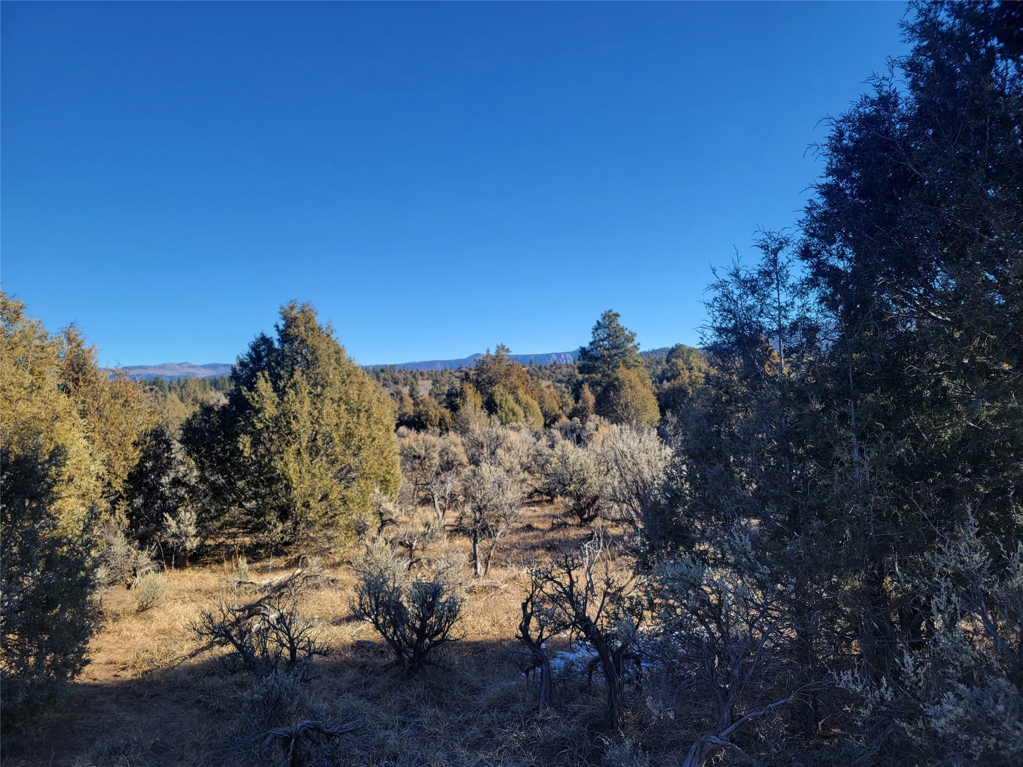 Hwy 64, Tierra Amarilla, New Mexico image 18