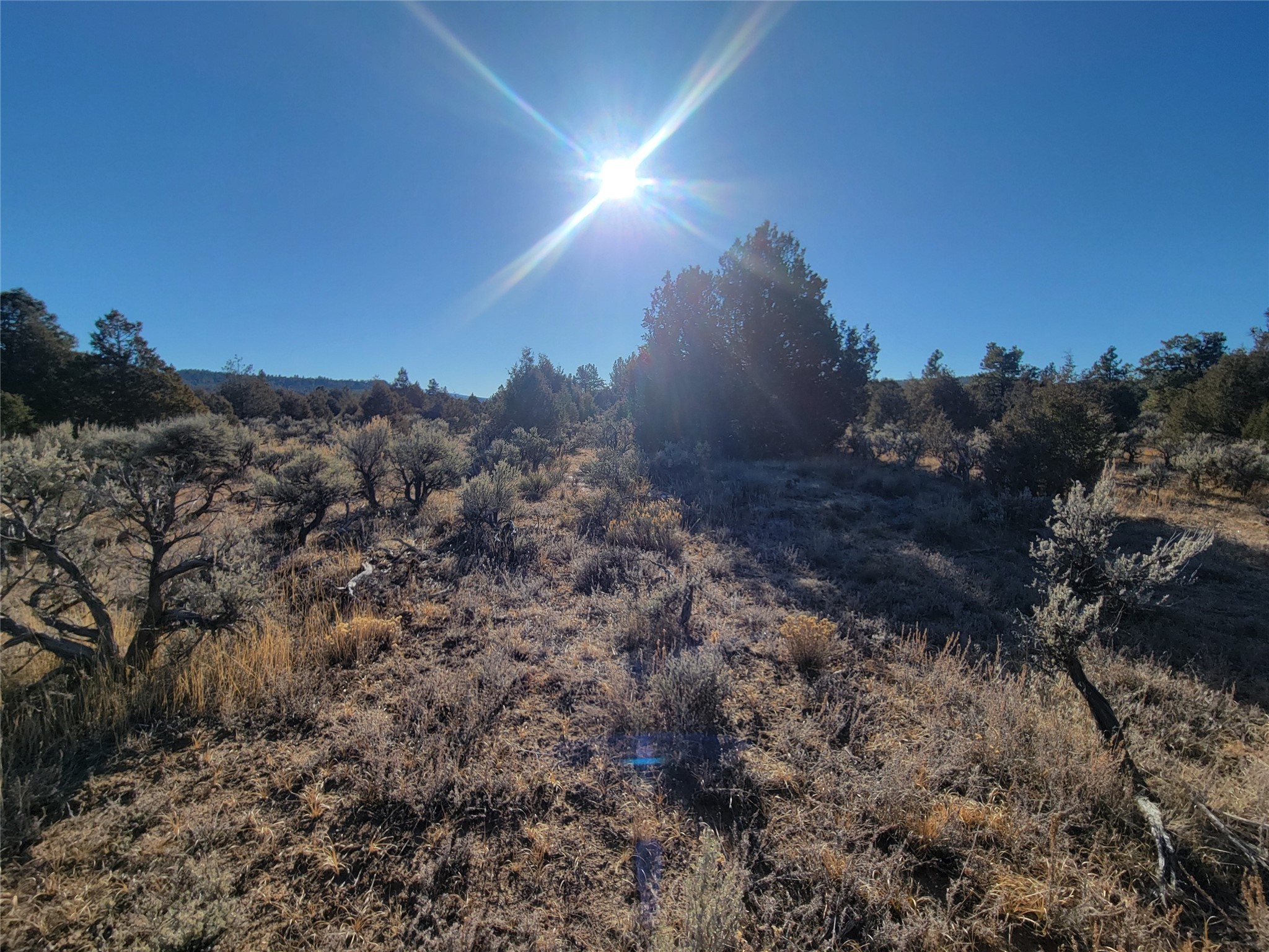 Hwy 64, Tierra Amarilla, New Mexico image 24