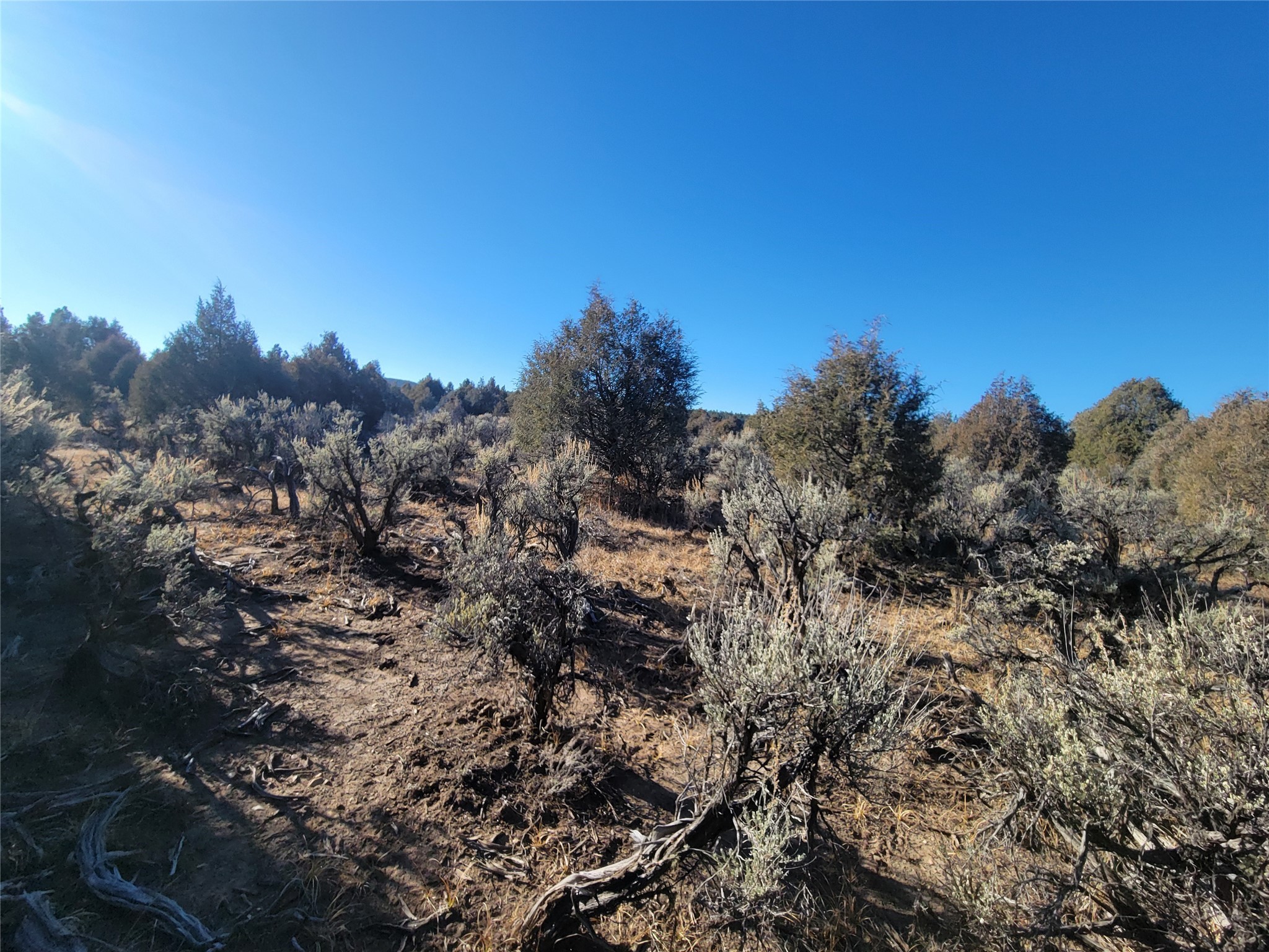 Hwy 64, Tierra Amarilla, New Mexico image 16