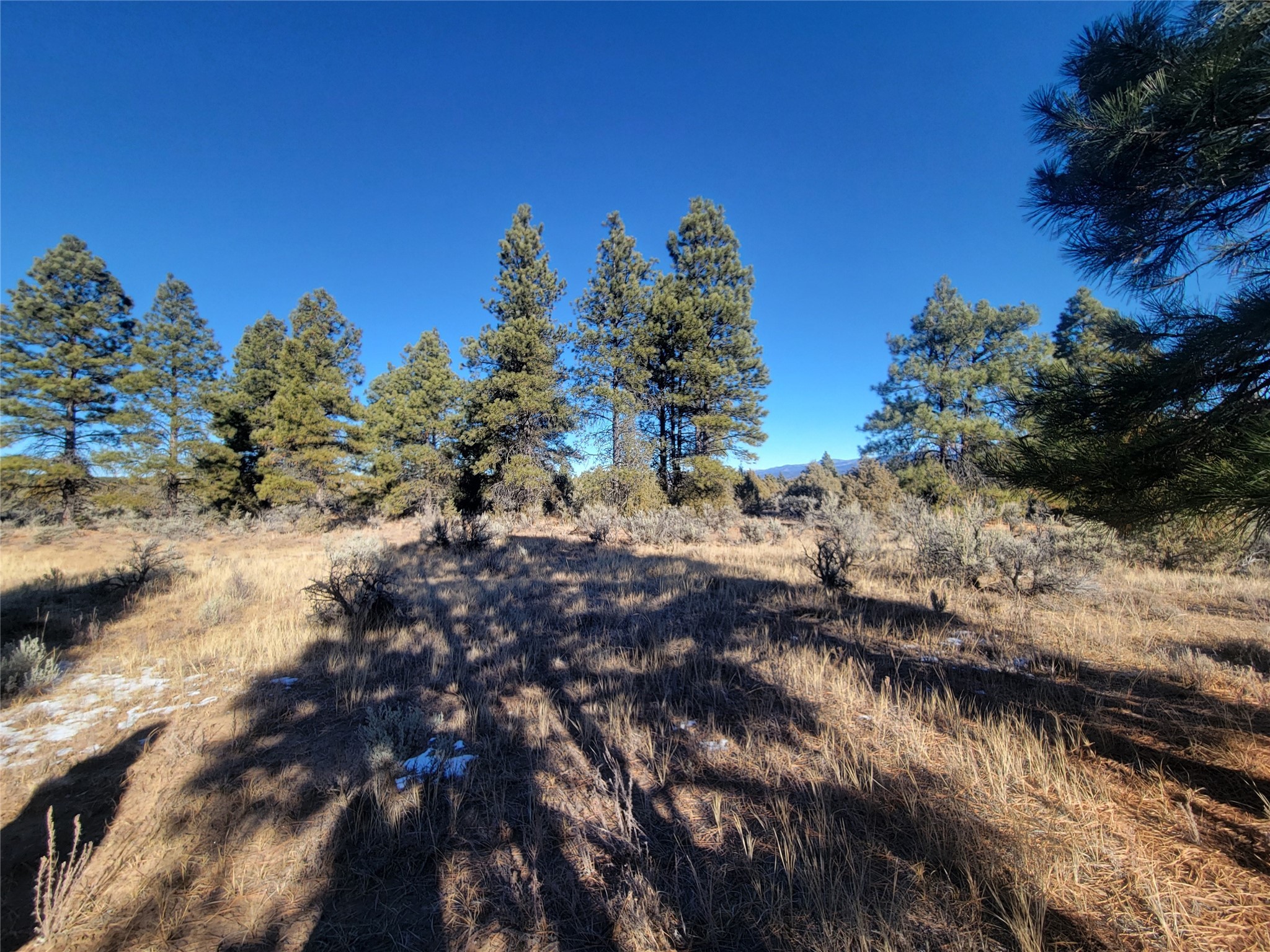 Hwy 64, Tierra Amarilla, New Mexico image 11