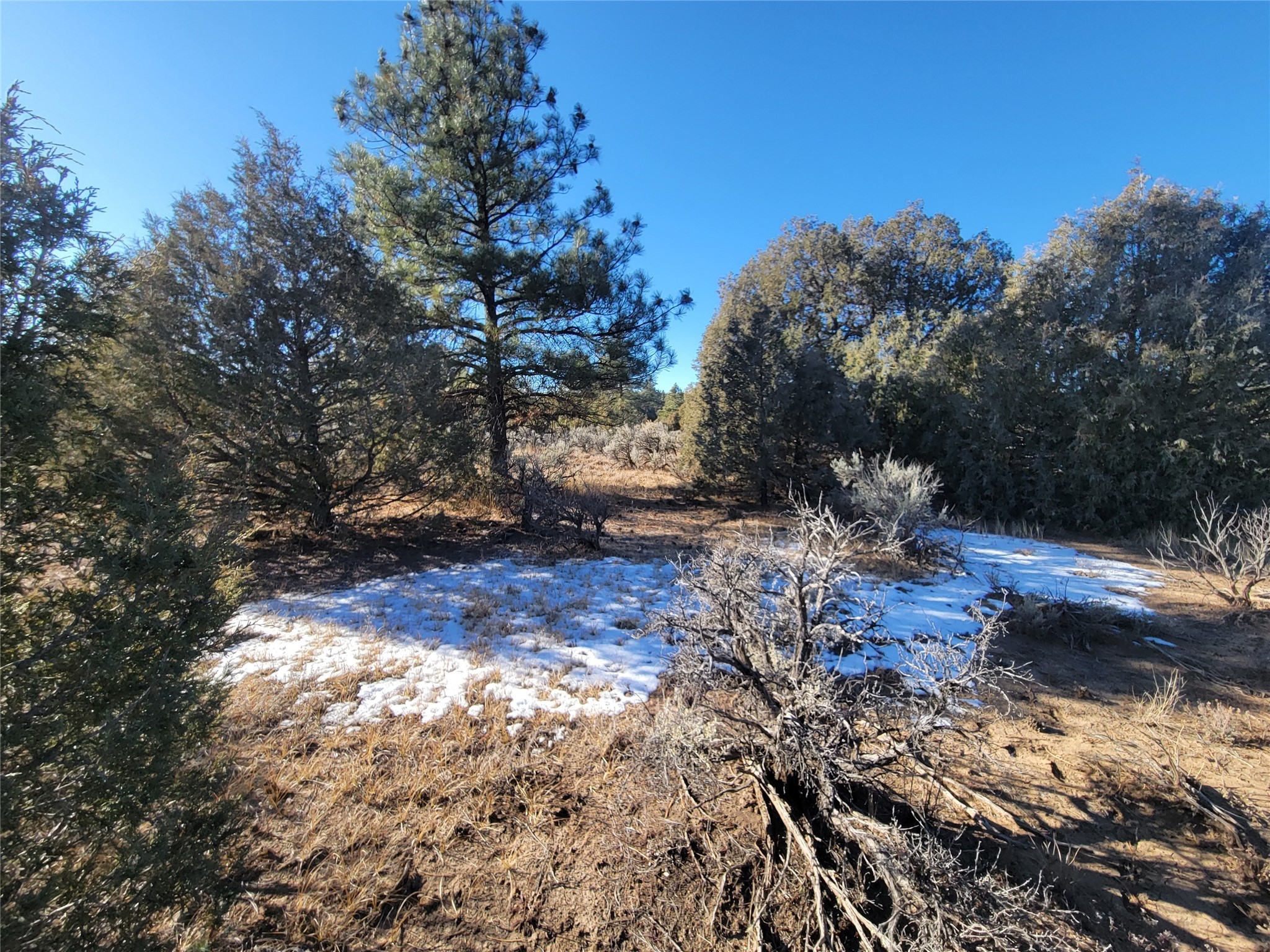 Hwy 64, Tierra Amarilla, New Mexico image 19