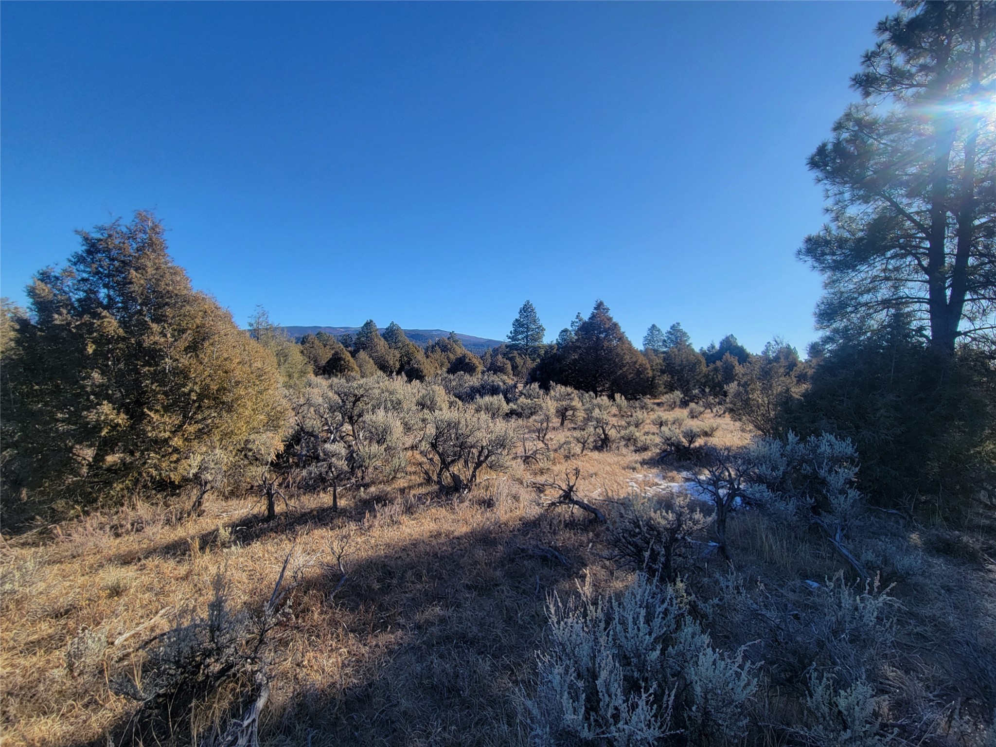 Hwy 64, Tierra Amarilla, New Mexico image 30