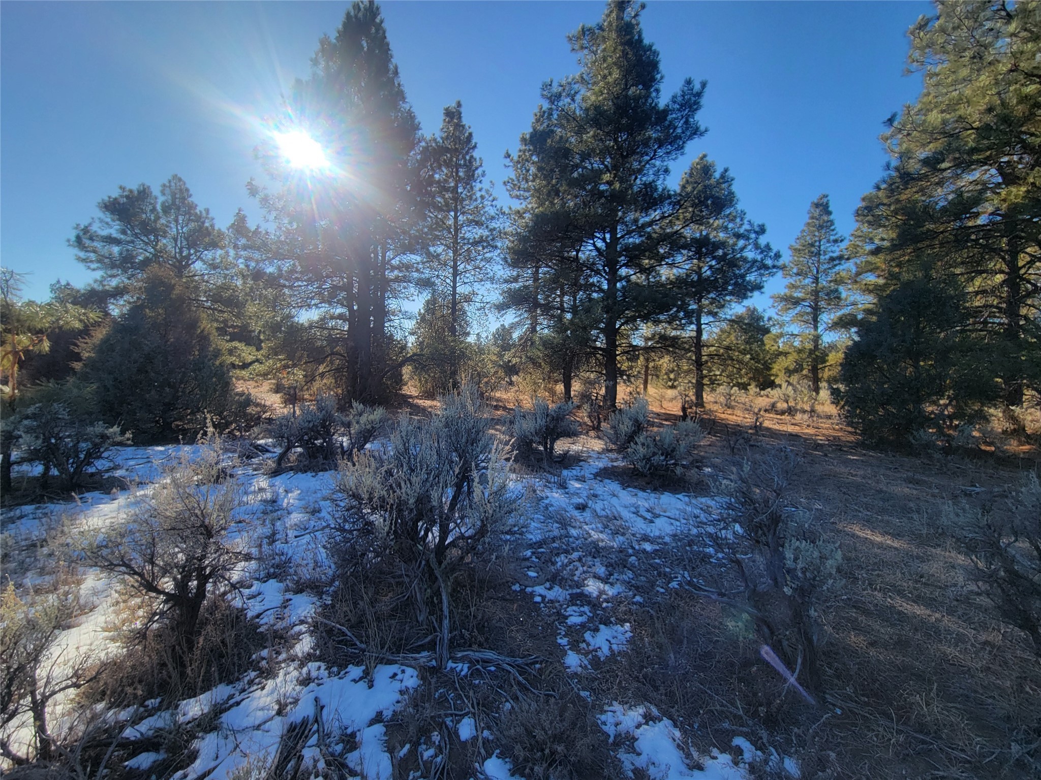 Hwy 64, Tierra Amarilla, New Mexico image 33