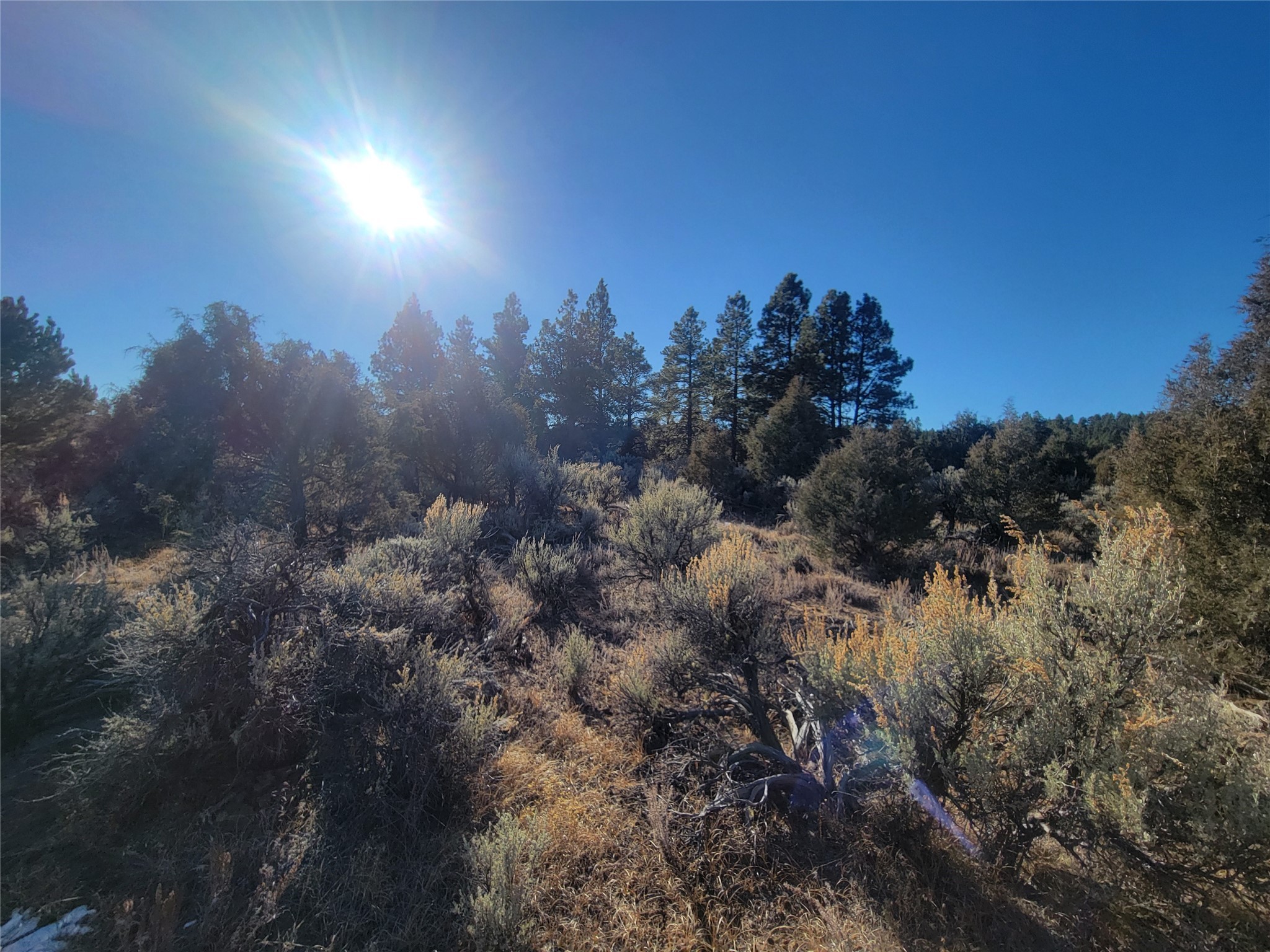 Hwy 64, Tierra Amarilla, New Mexico image 32