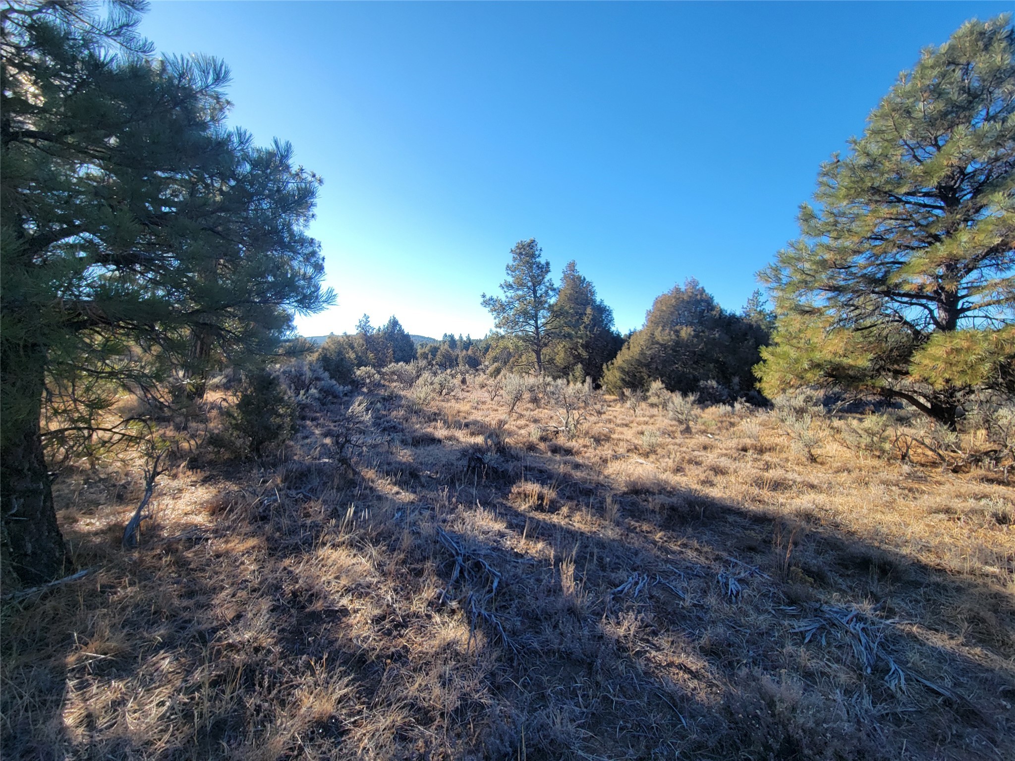 Hwy 64, Tierra Amarilla, New Mexico image 8