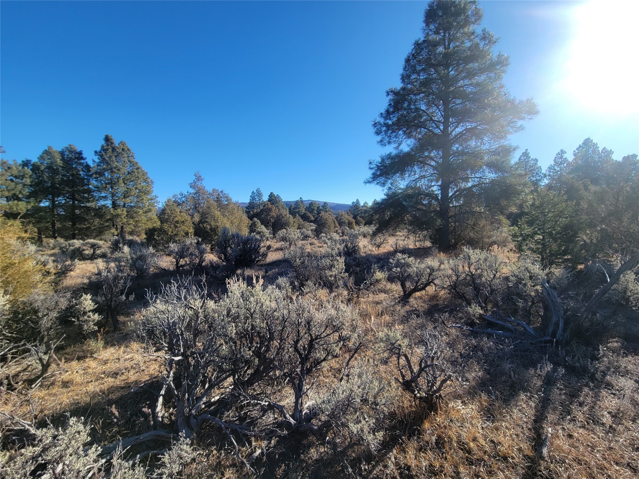 Hwy 64, Tierra Amarilla, New Mexico image 35