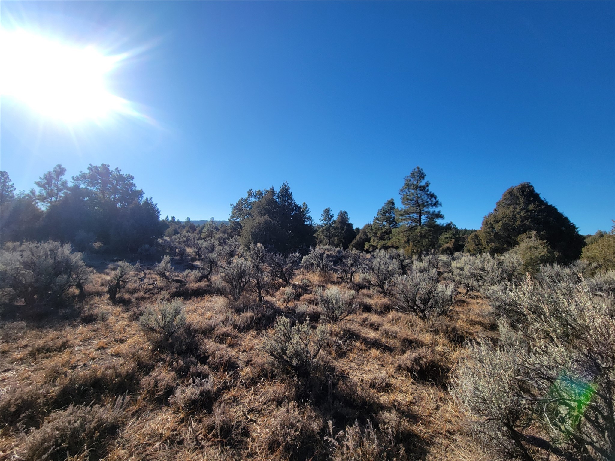 Hwy 64, Tierra Amarilla, New Mexico image 25