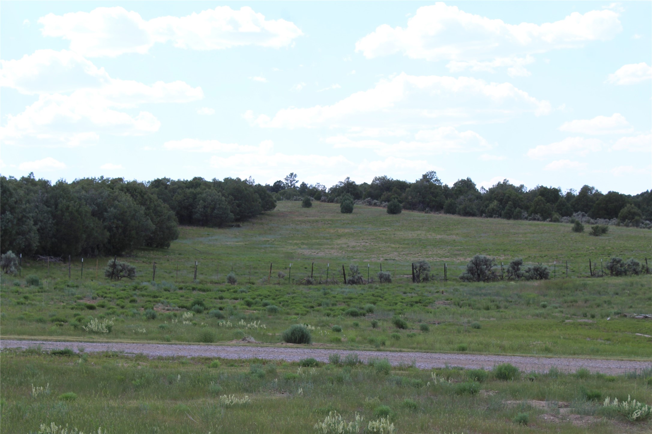 118 Nm-95, Los Ojos, New Mexico image 8