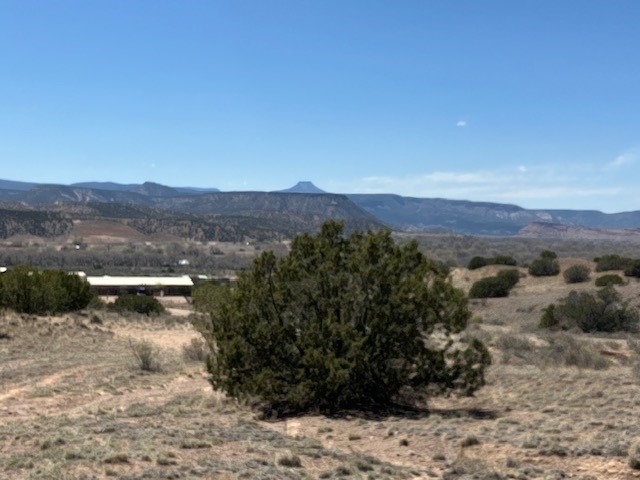 Tract 10B Green Meadows Drive, Abiquiu, New Mexico image 28