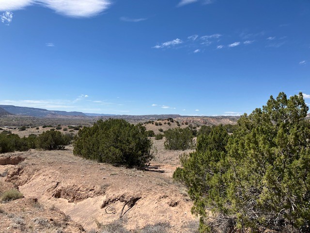 Tract 10B Green Meadows Drive, Abiquiu, New Mexico image 34