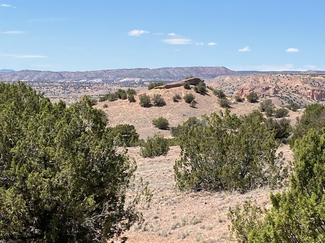 Tract 10B Green Meadows Drive, Abiquiu, New Mexico image 36