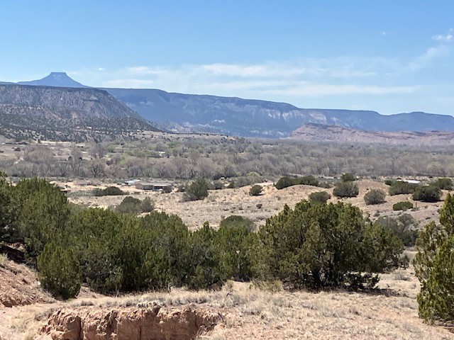 Tract 10B Green Meadows Drive, Abiquiu, New Mexico image 4