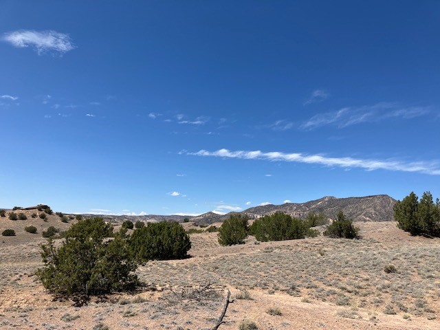 Tract 10B Green Meadows Drive, Abiquiu, New Mexico image 31