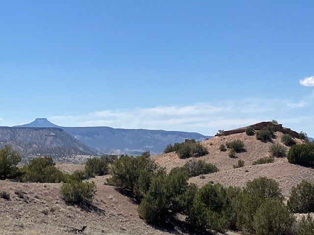 Tract 10B Green Meadows Drive, Abiquiu, New Mexico image 37