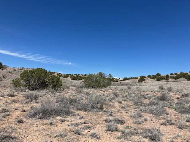 Tract 10B Green Meadows Drive, Abiquiu, New Mexico image 20