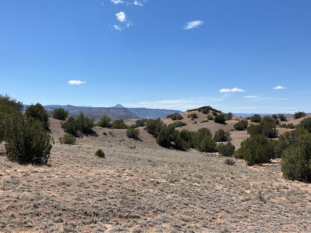 Tract 10B Green Meadows Drive, Abiquiu, New Mexico image 38