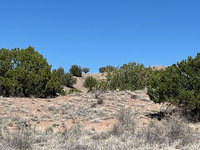 Tract 10B Green Meadows Drive, Abiquiu, New Mexico image 24