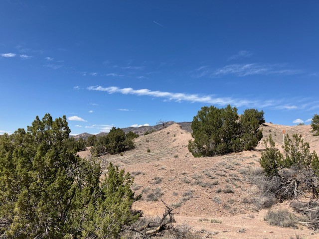 Tract 10B Green Meadows Drive, Abiquiu, New Mexico image 35