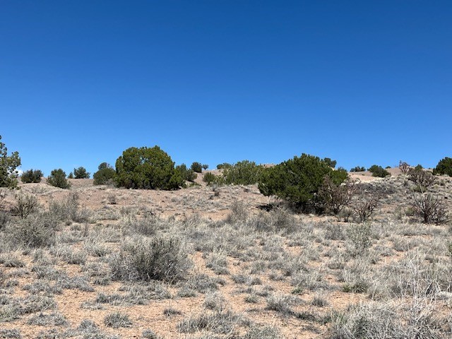 Tract 10B Green Meadows Drive, Abiquiu, New Mexico image 25