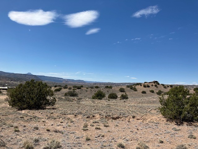 Tract 10B Green Meadows Drive, Abiquiu, New Mexico image 30