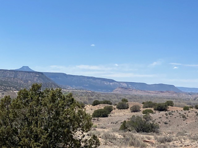 Tract 10B Green Meadows Drive, Abiquiu, New Mexico image 6