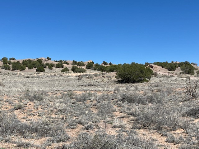 Tract 10B Green Meadows Drive, Abiquiu, New Mexico image 22