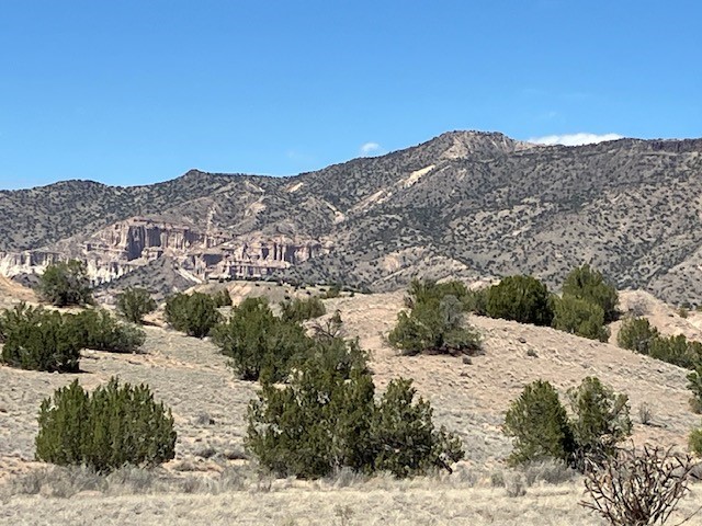 Tract 10B Green Meadows Drive, Abiquiu, New Mexico image 11