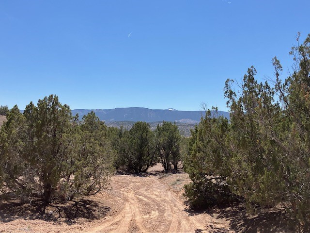 Tract 10B Green Meadows Drive, Abiquiu, New Mexico image 39