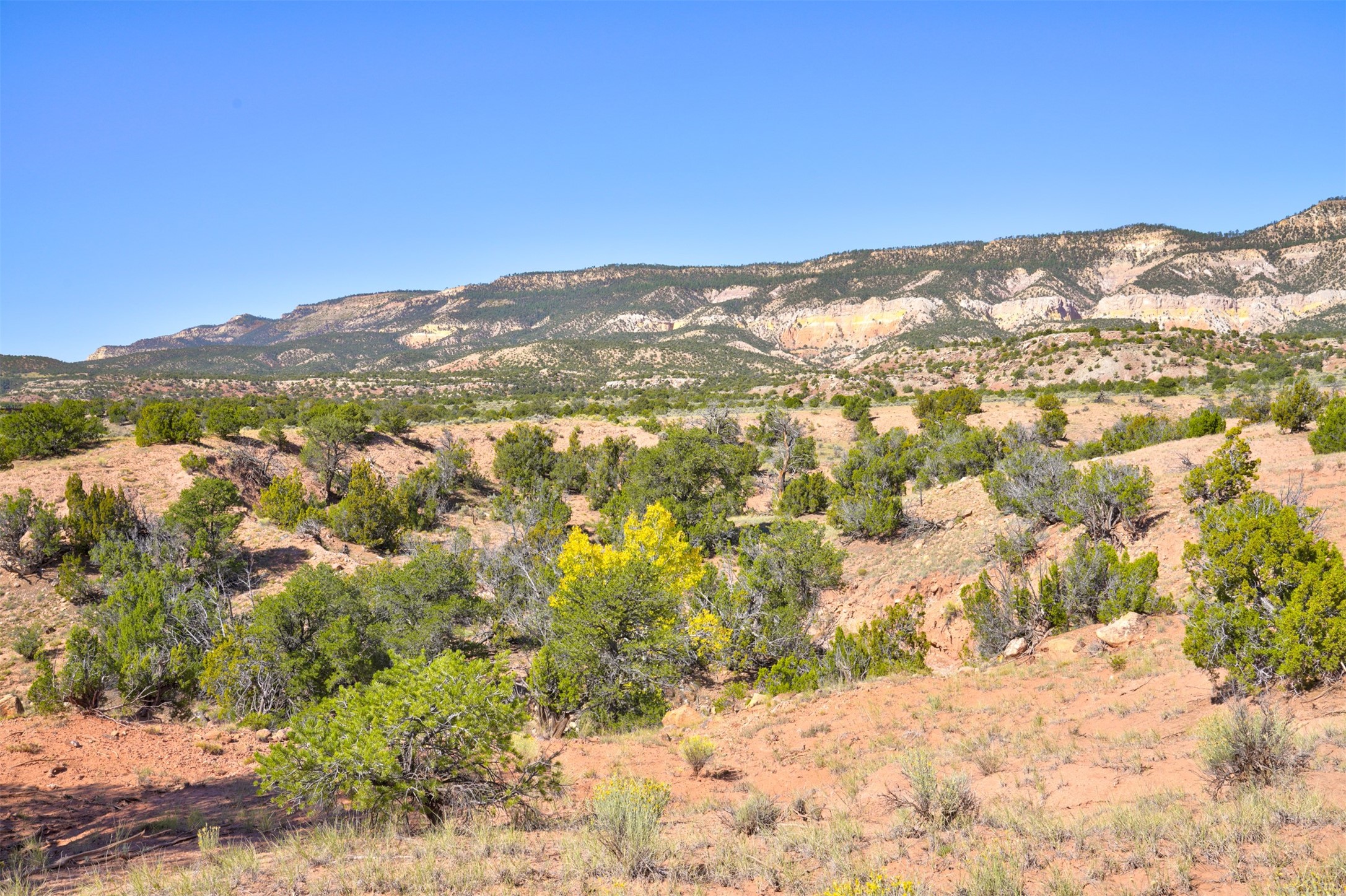 Wilderness Gate Mesa Prieta Rd, Youngsville, New Mexico image 13