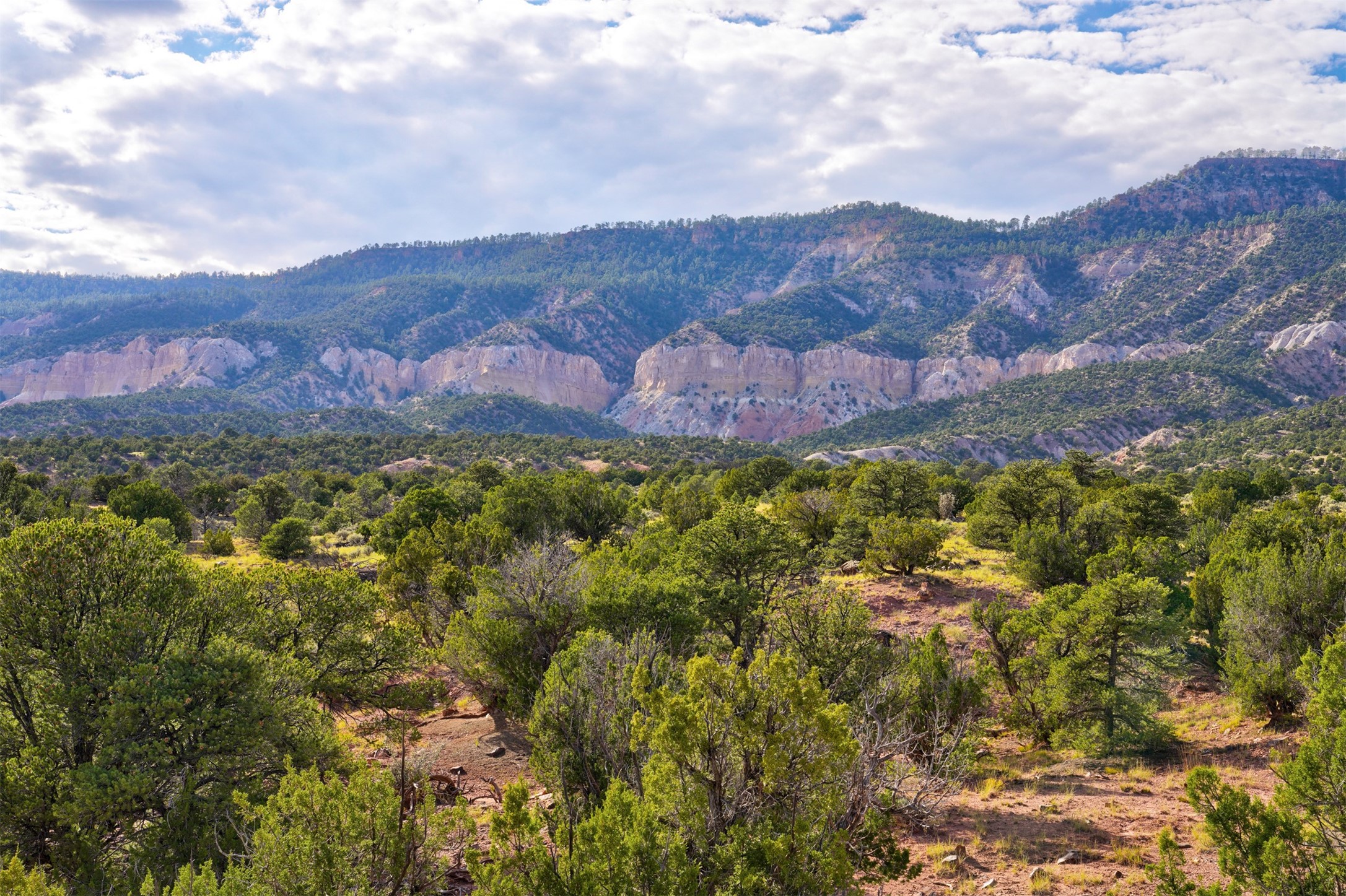 Wilderness Gate Mesa Prieta Rd, Youngsville, New Mexico image 8