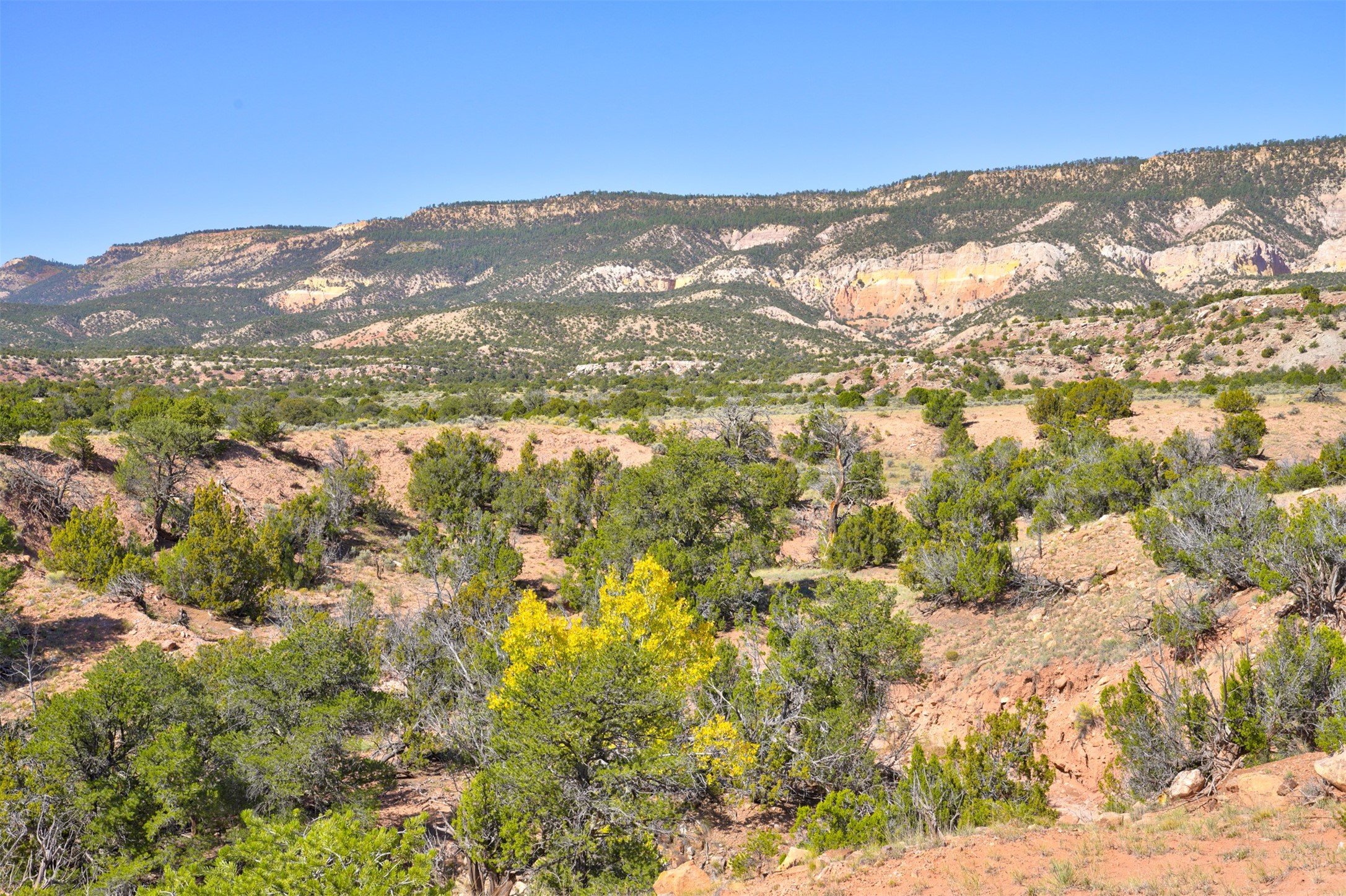 Wilderness Gate Mesa Prieta Rd, Youngsville, New Mexico image 4