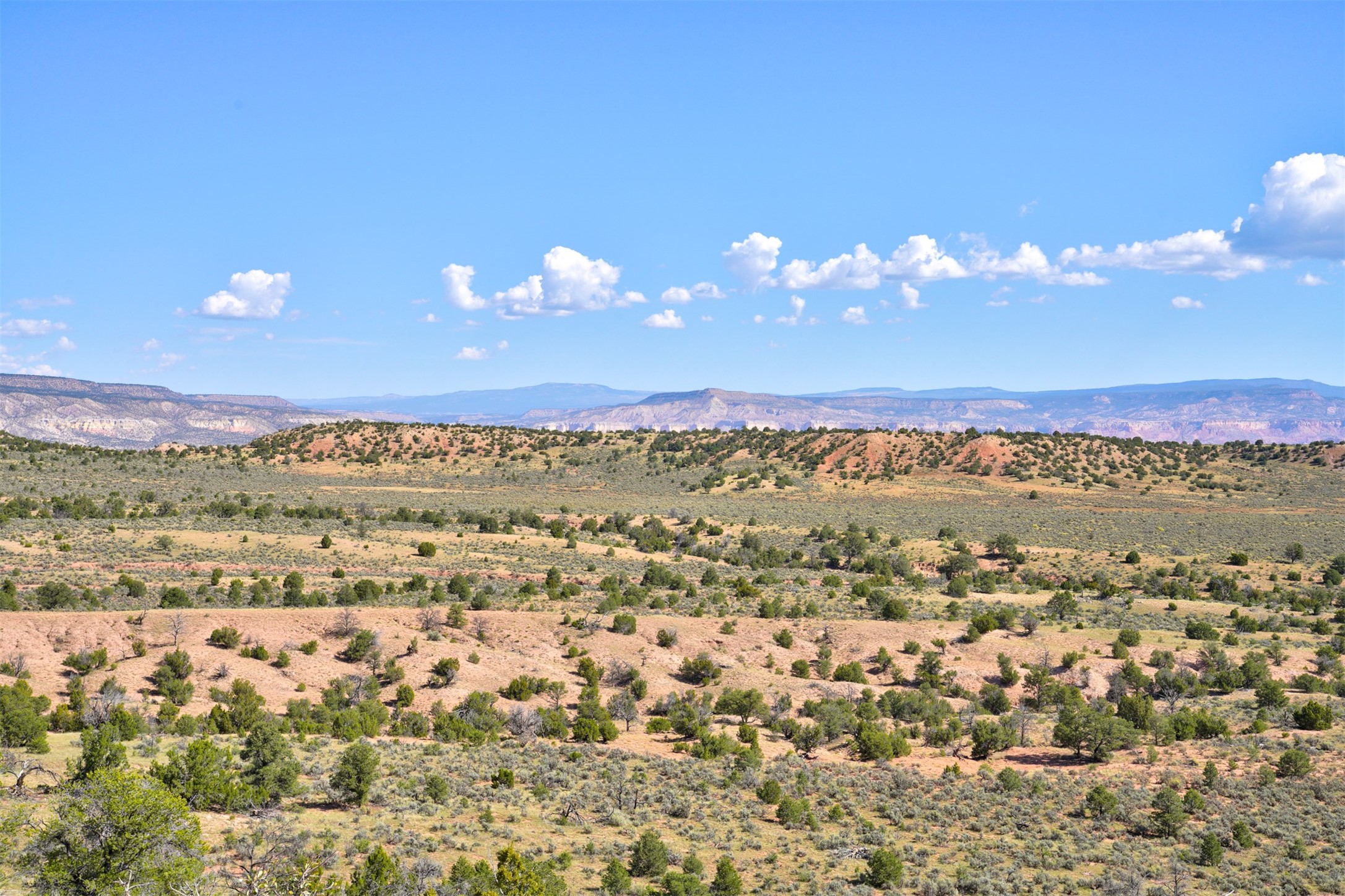 Wilderness Gate Mesa Prieta Rd, Youngsville, New Mexico image 16