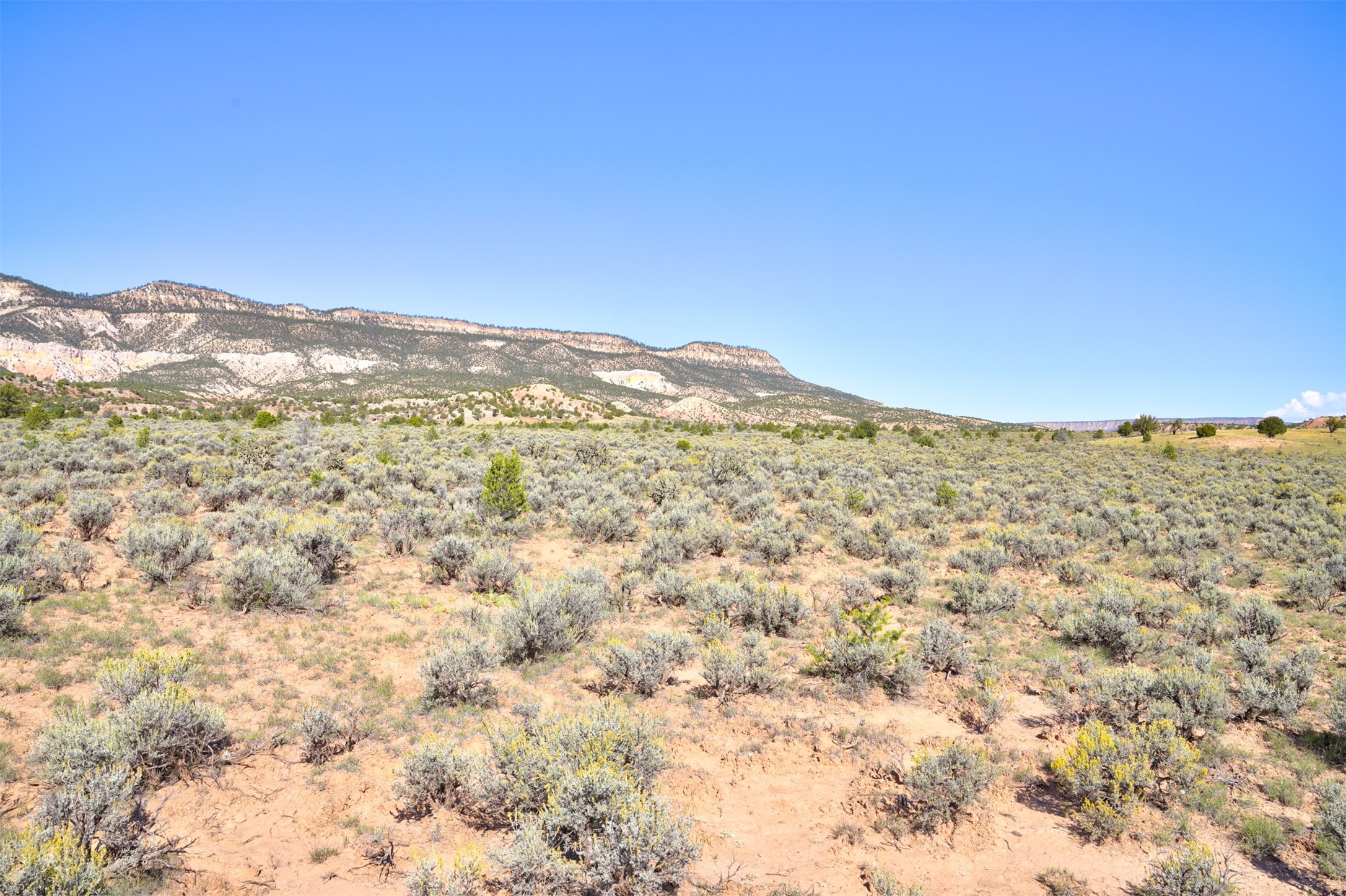 Wilderness Gate Mesa Prieta Rd, Youngsville, New Mexico image 12