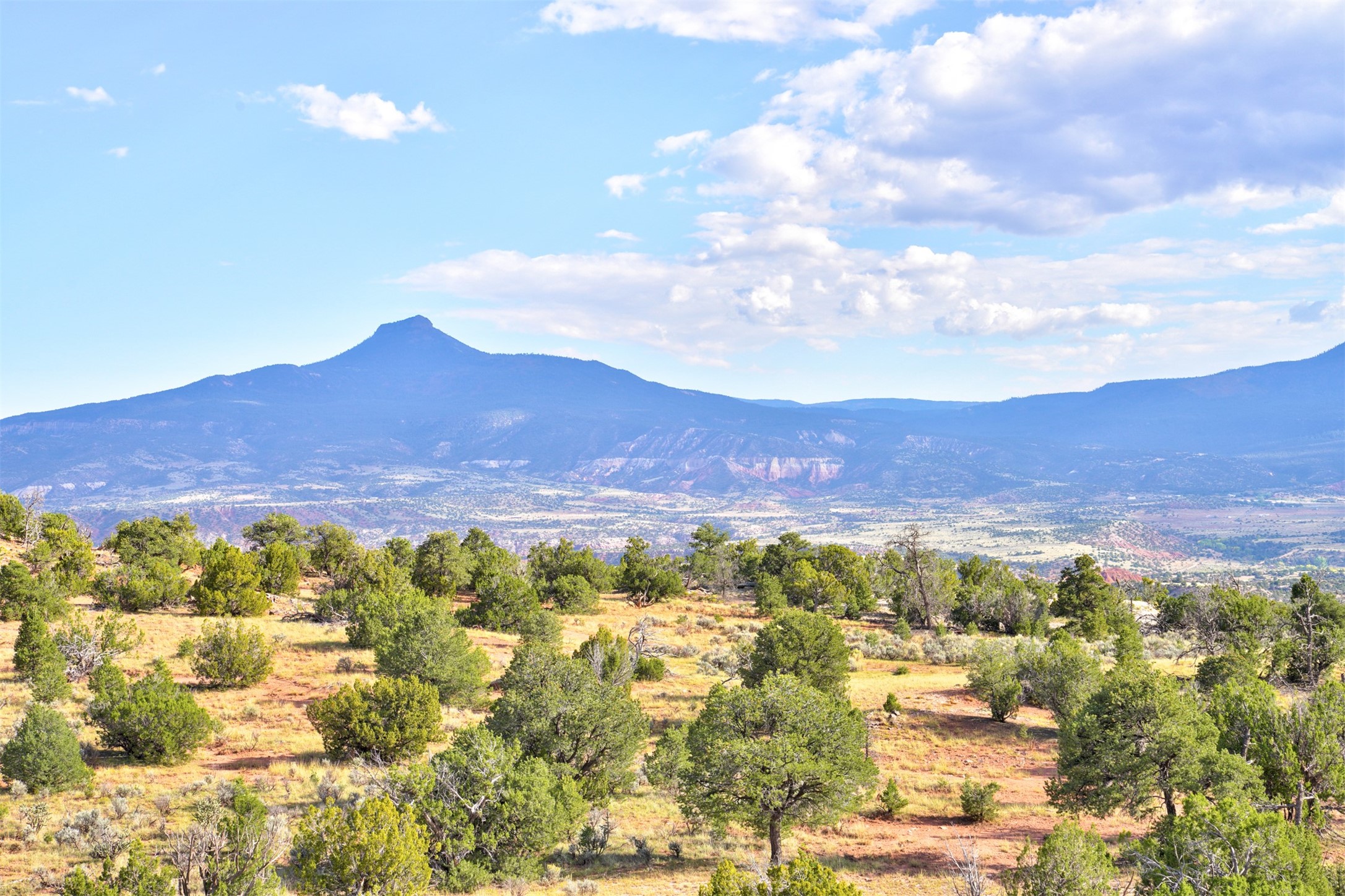 Wilderness Gate Mesa Prieta Rd, Youngsville, New Mexico image 2