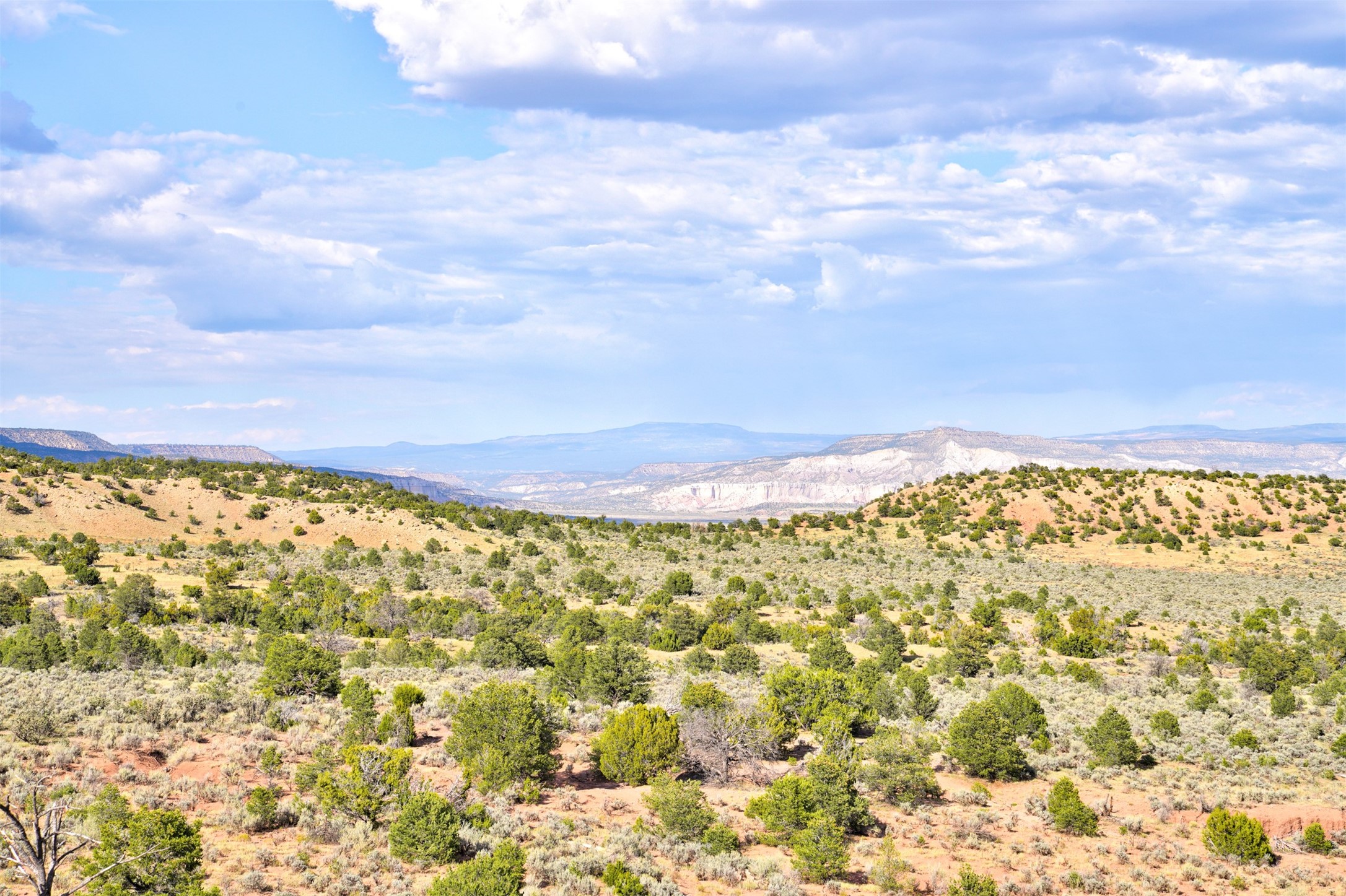 Wilderness Gate Mesa Prieta Rd, Youngsville, New Mexico image 6