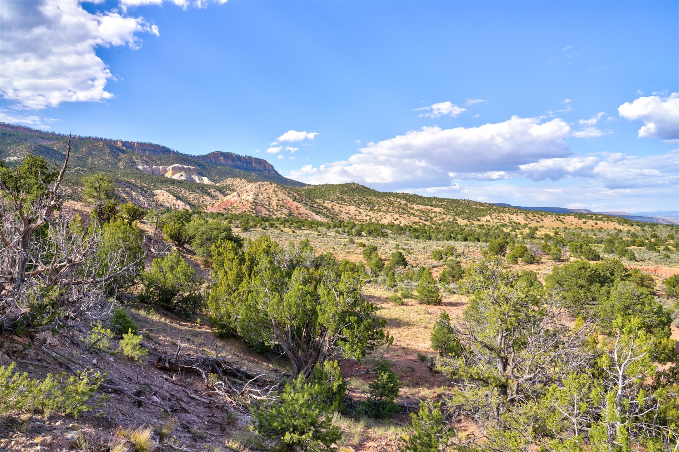 Wilderness Gate Mesa Prieta Rd, Youngsville, New Mexico image 5