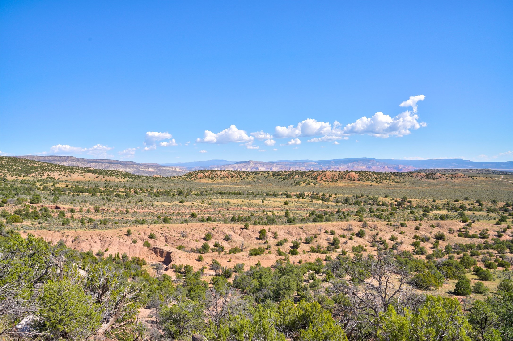 Wilderness Gate Mesa Prieta Rd, Youngsville, New Mexico image 7