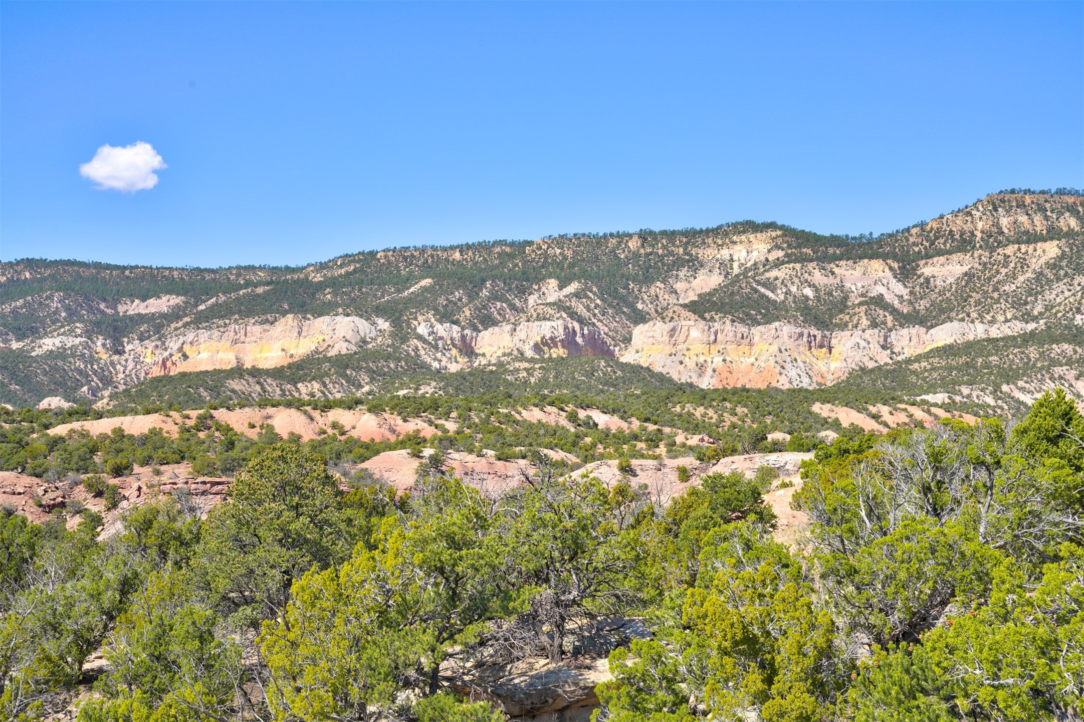 Wilderness Gate Mesa Prieta Rd, Youngsville, New Mexico image 3