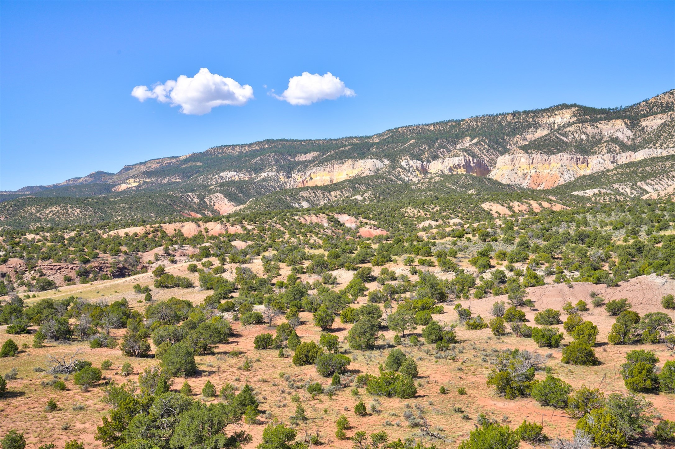 Wilderness Gate Mesa Prieta Rd, Youngsville, New Mexico image 17