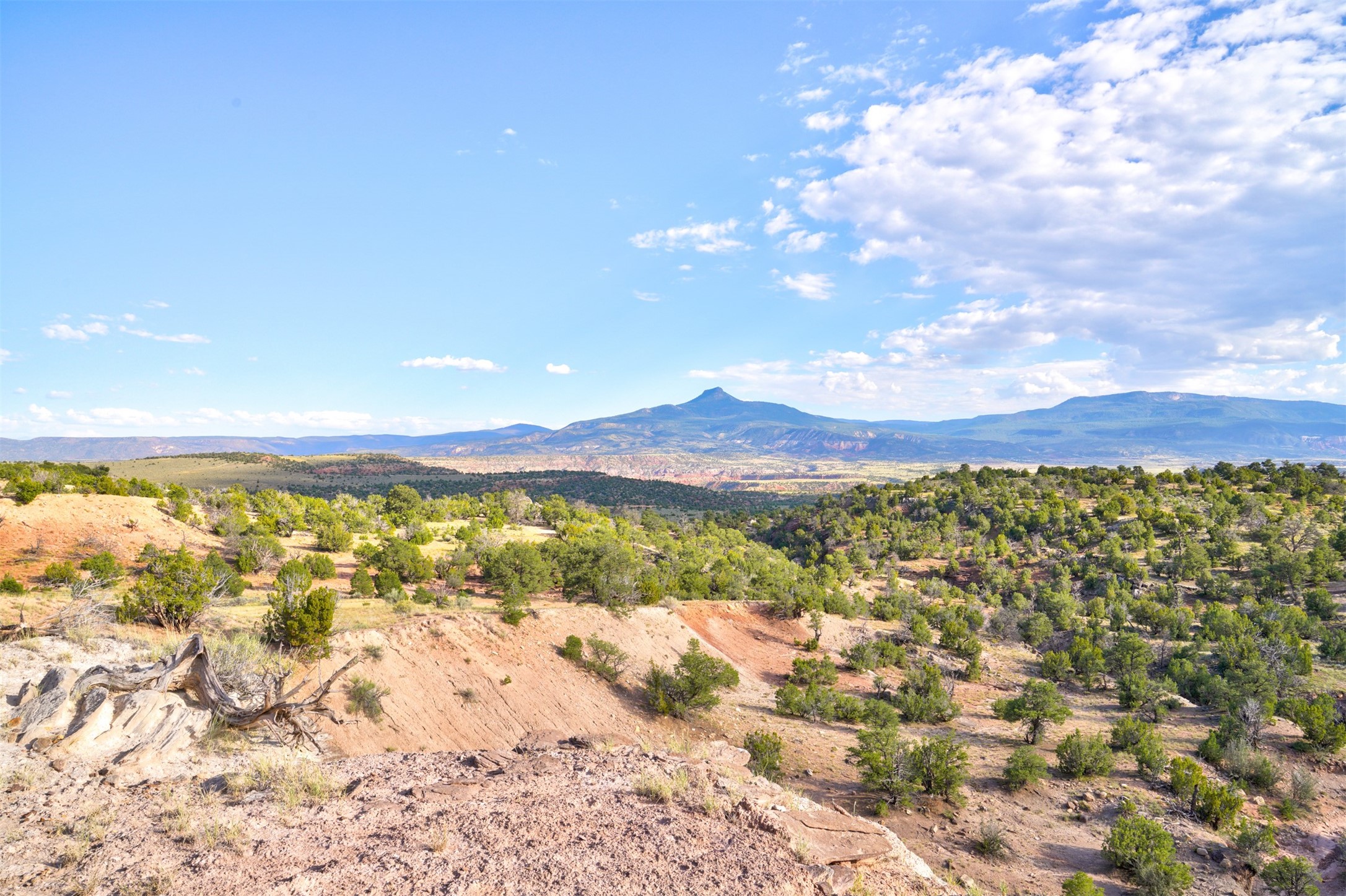 Wilderness Gate Mesa Prieta Rd, Youngsville, New Mexico image 10