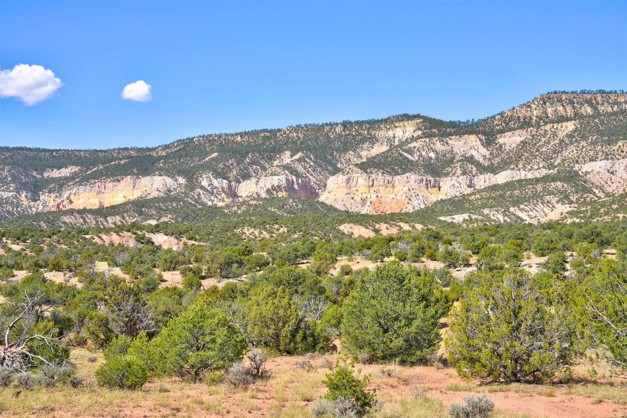 Wilderness Gate Mesa Prieta Rd, Youngsville, New Mexico image 1