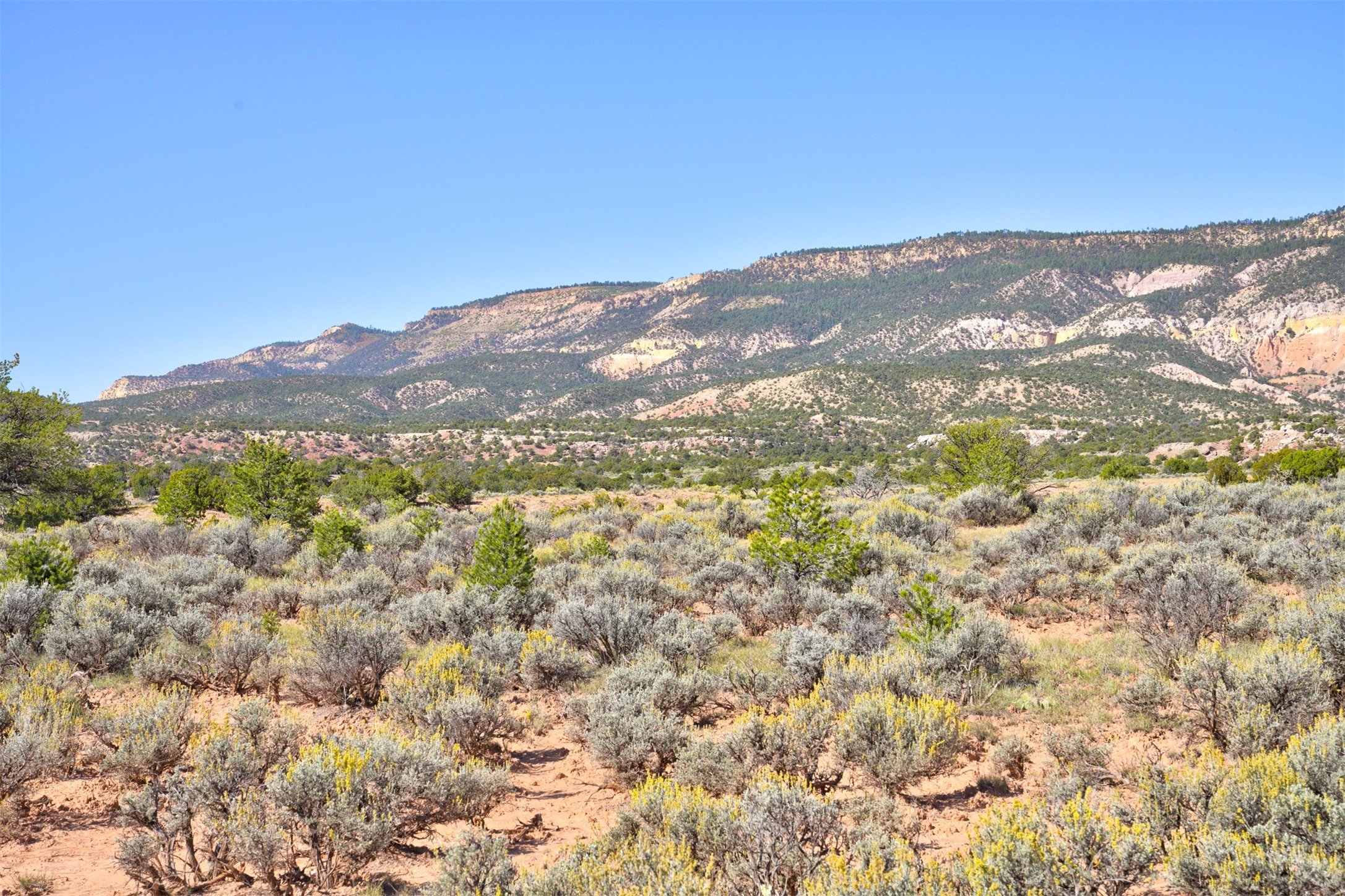 Wilderness Gate Mesa Prieta Rd, Youngsville, New Mexico image 14