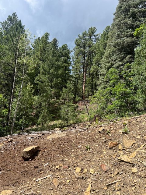 Vacant Land For Sale - LOT E-2 18.7669 Acres In El Macho Canyon<br/> Pecos, NM 87552