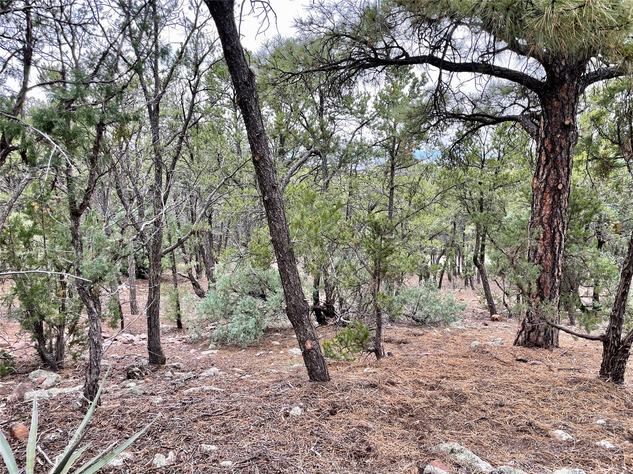 1208 S Summit Drive #LOT 6A, Santa Fe, New Mexico image 2