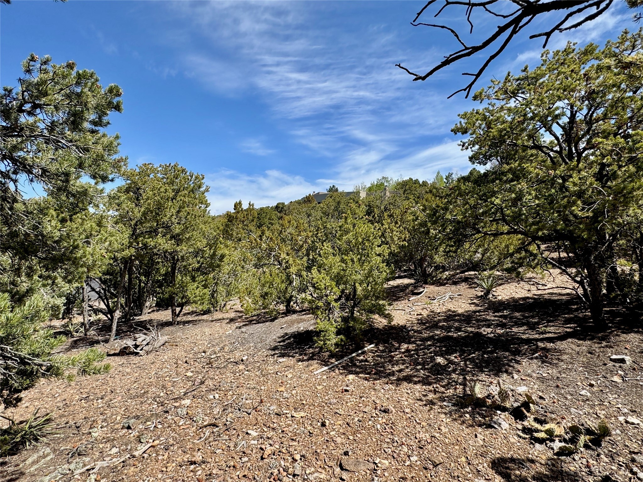 1208 S Summit Drive #LOT 6A, Santa Fe, New Mexico image 48