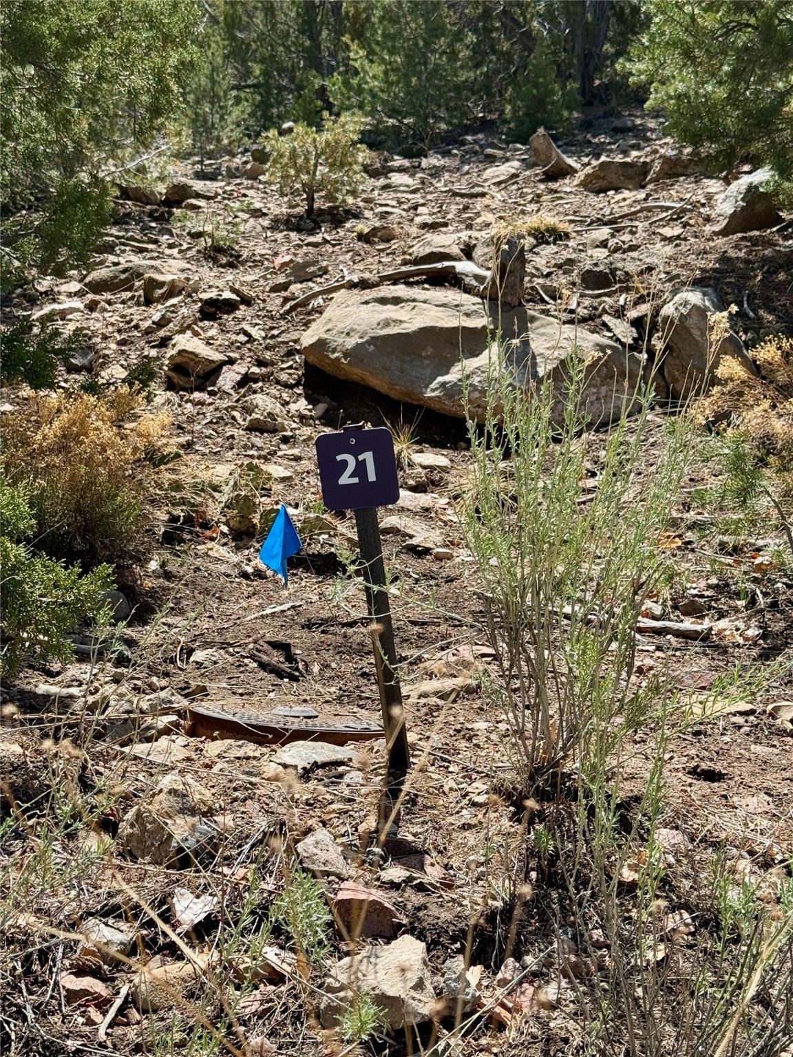 1208 S Summit Drive #LOT 6A, Santa Fe, New Mexico image 25