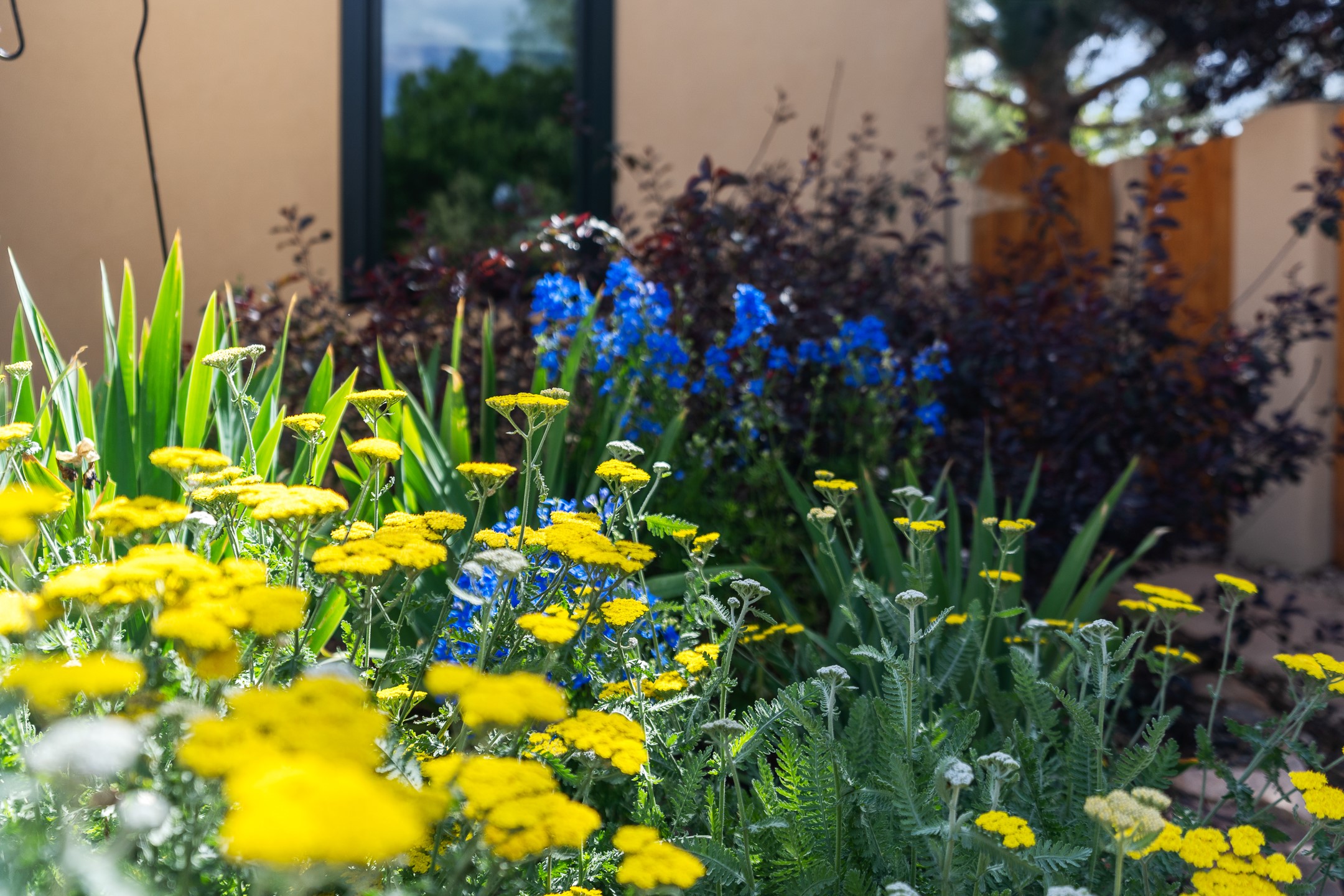 Santa Fe, New Mexico 87507, United States, 3 Bedrooms Bedrooms, ,2 BathroomsBathrooms,Residential,Pending,154682