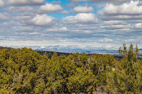 Tiny photo for TBD Hanuman, Cerrillos, NM 87010 (MLS # 202400910)