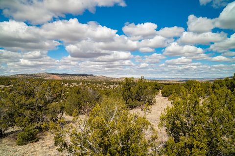 Tiny photo for TBD Hanuman, Cerrillos, NM 87010 (MLS # 202400910)