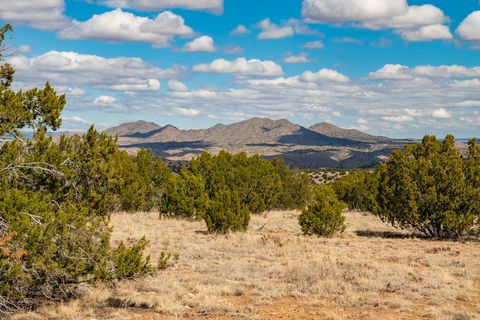 Tiny photo for TBD Hanuman, Cerrillos, NM 87010 (MLS # 202400910)